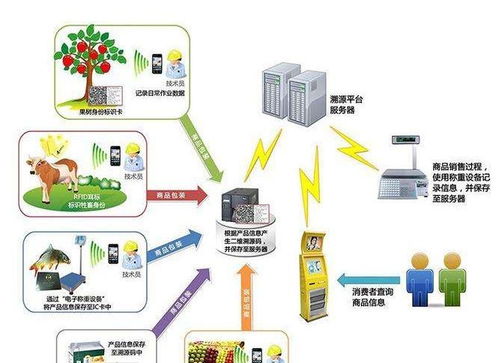 「碼」上知道 唐山香宇肉制品全程溯源入“云”，揭秘真正安全品質(zhì)
